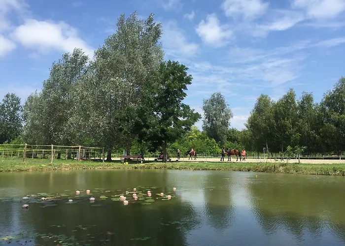Mohácsi Wellness és Lovasklub Maison d'hôtes 3*