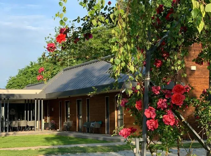 Mohácsi Wellness és Lovasklub Maison d'hôtes