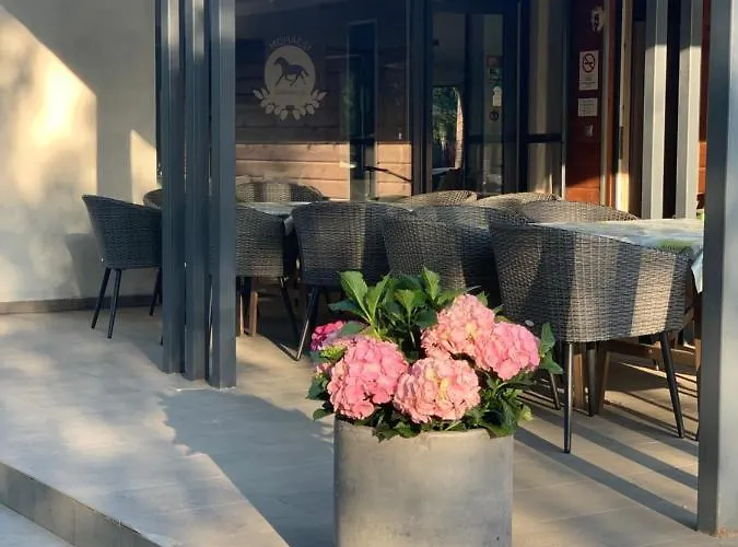 Mohácsi Wellness és Lovasklub Maison d'hôtes 3*